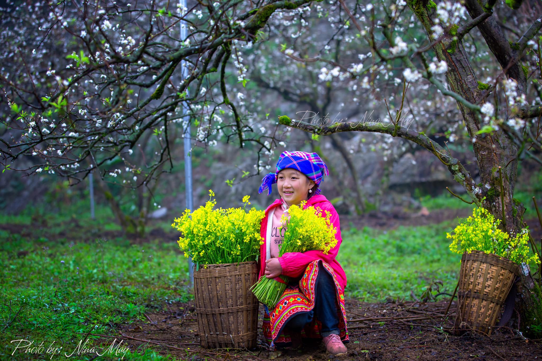 4 best destinations and things to do in Vietnam in spring 4 best destinations and things to do in Vietnam in spring