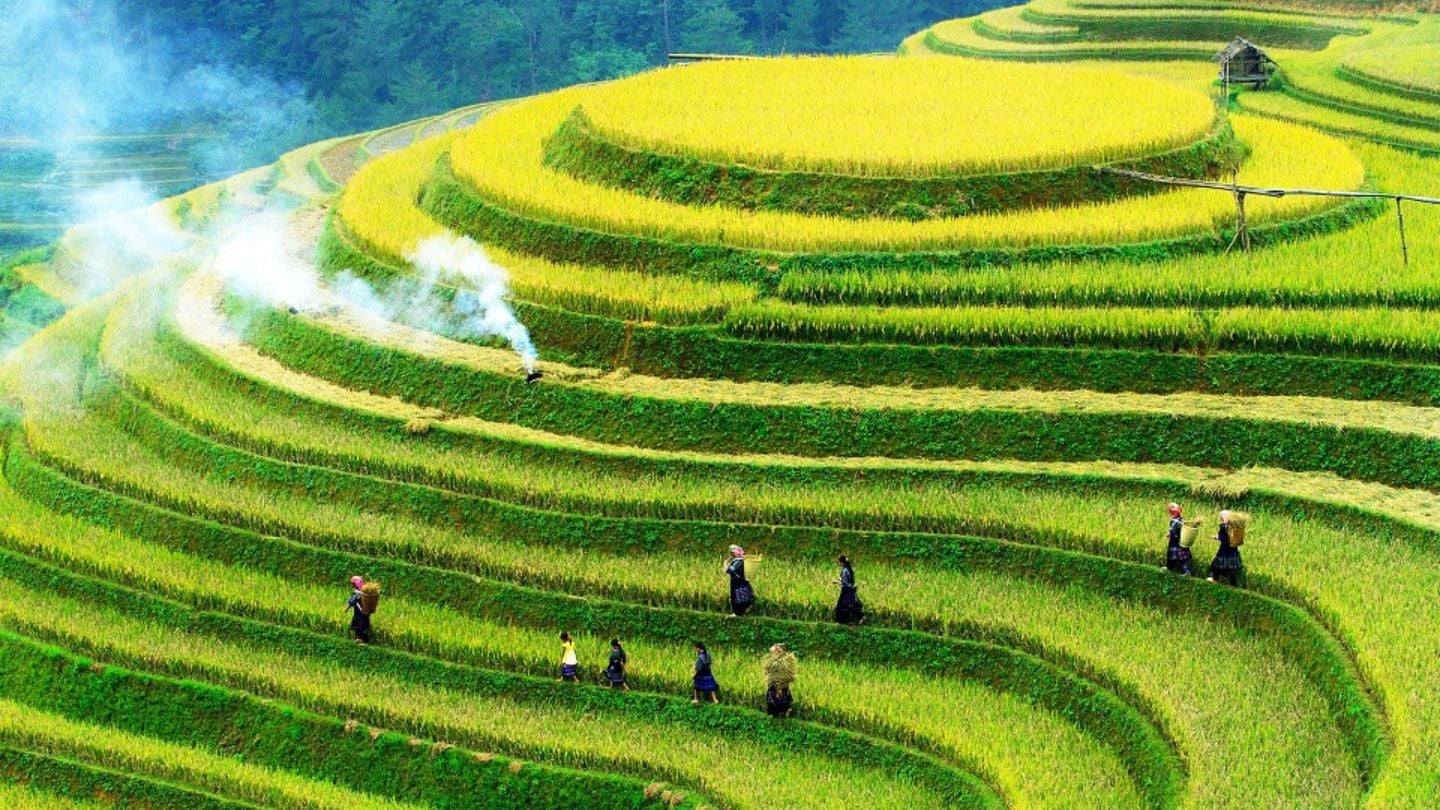 Best Time to Visit Sapa: A Complete Seasonal Guide for 2026