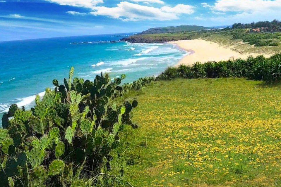 Top 10 Stunning Beaches in Phu Yen with Essential Travel Tips