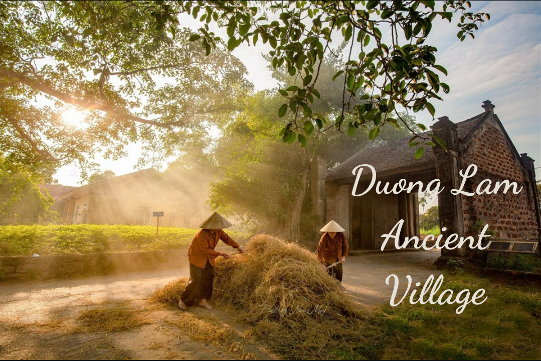 Duong Lam Ancient Village – The soul of Vietnamese villages