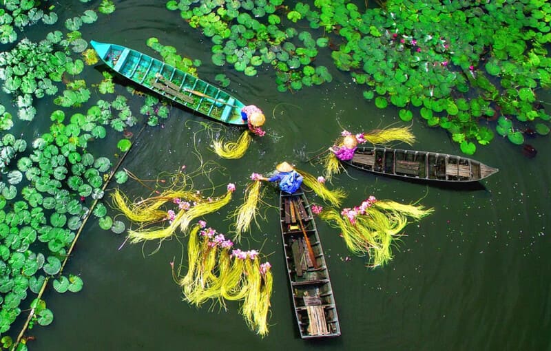 Mekong Delta Rainy Season Guide: Everything You Need to Know About the High Water Months