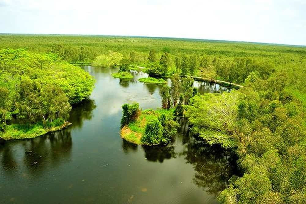 Ca Mau, Vietnam Travel Guide 2026: Explore Vietnam’s Southernmost Destination